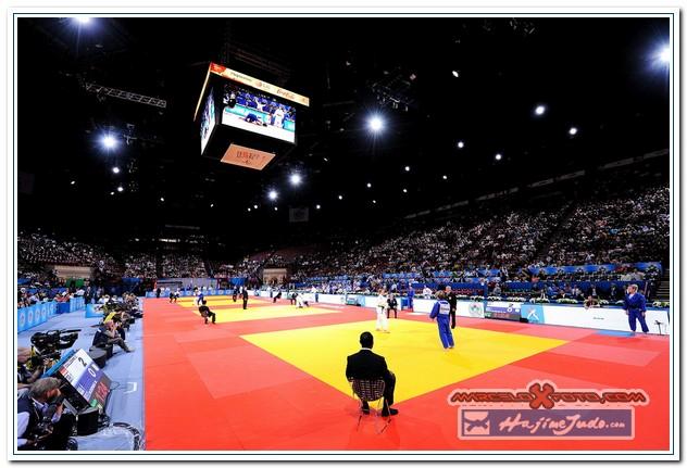 WCPARIS2011 90002